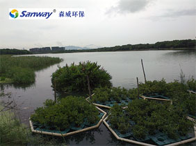 深圳水治理 深圳水治理