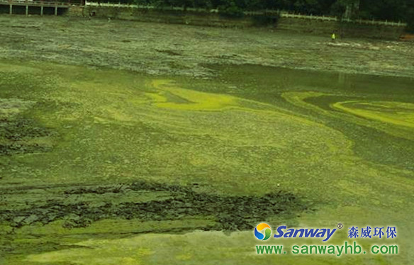 人工湖水處理 人工湖水處理