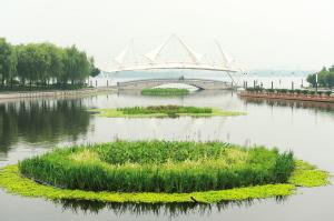 生態(tài)浮床技術(shù) 生態(tài)浮床技術(shù)